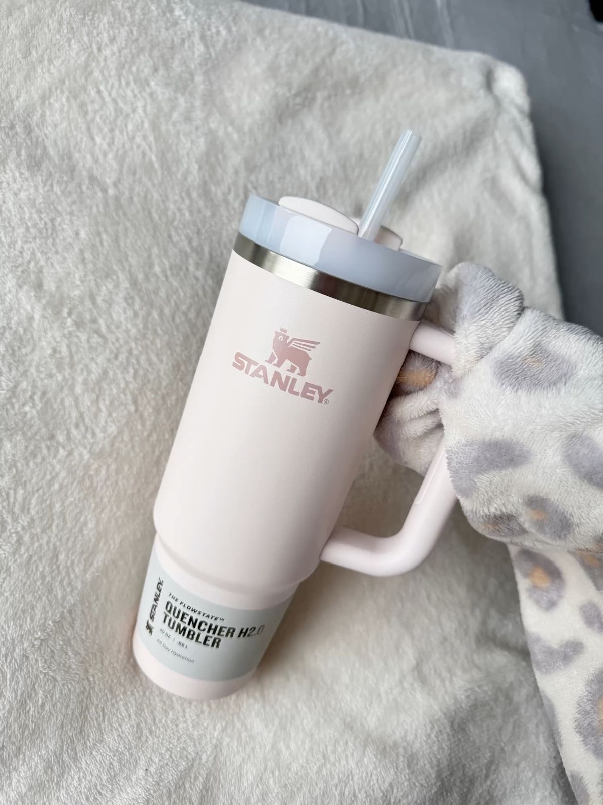 ماگ استنلی (2918)