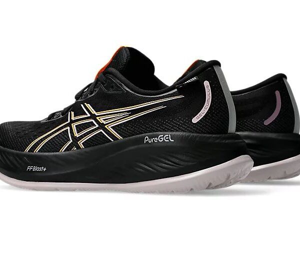 کفش آسیکس (4194)